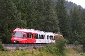 Dans le bois du Bouchet.