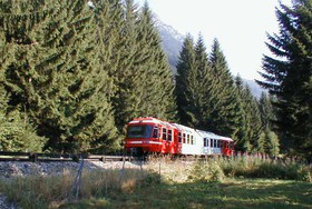 Après l’arrêt de la Joux, la voie serpente dans la forêt, sans grande dénivellation.