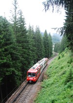 Parmi les mélèzes, une rame Z 800 monte vers Vallorcine, en provenance du Châtelard.