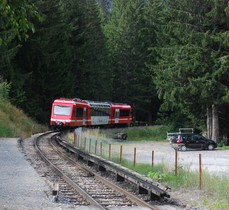 Après la Joux, direction Argentière, la ligne s’engage en forêt.